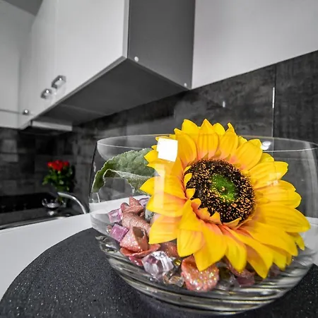 Joso Apartment Rtina